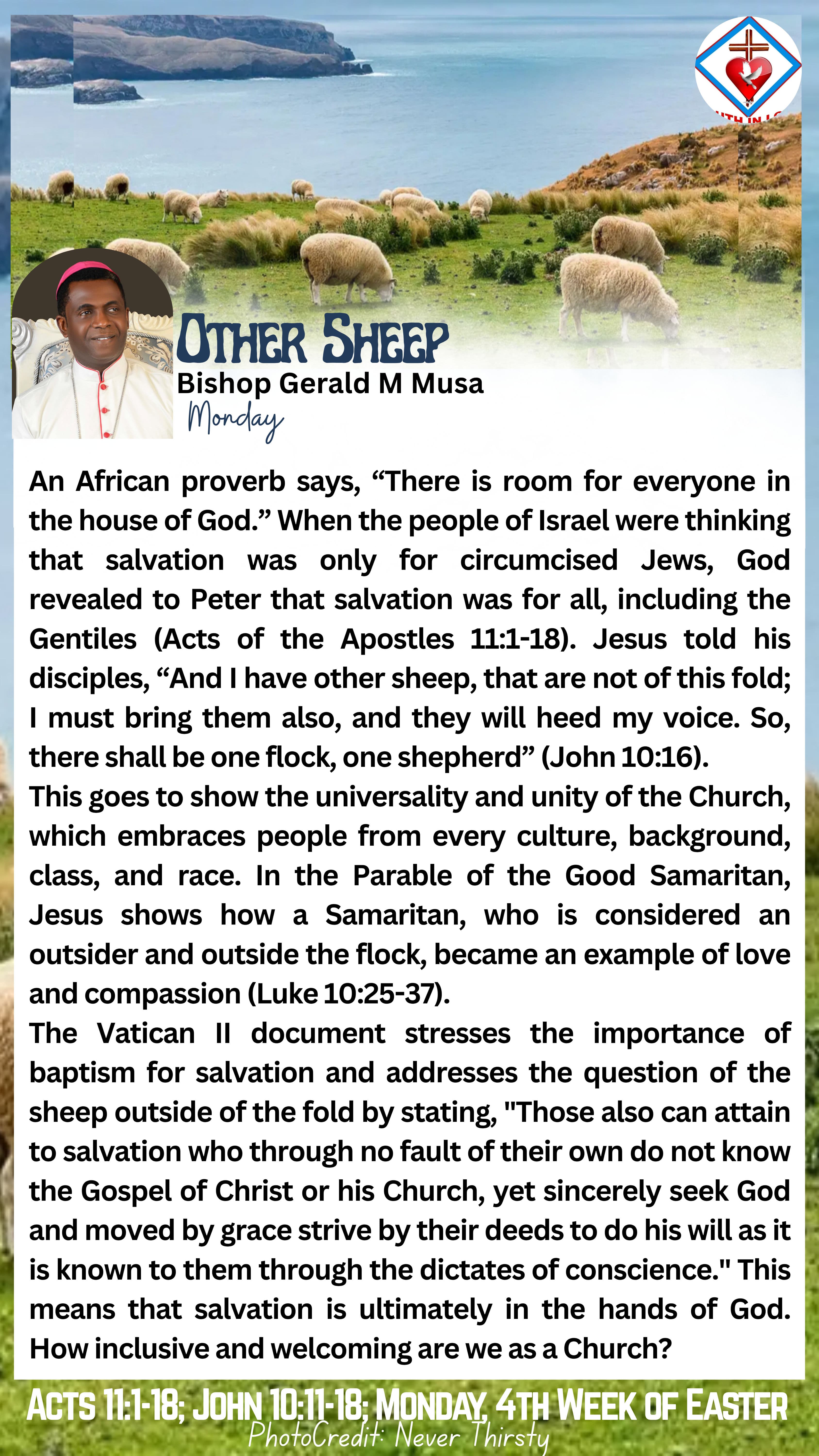 Other sheep