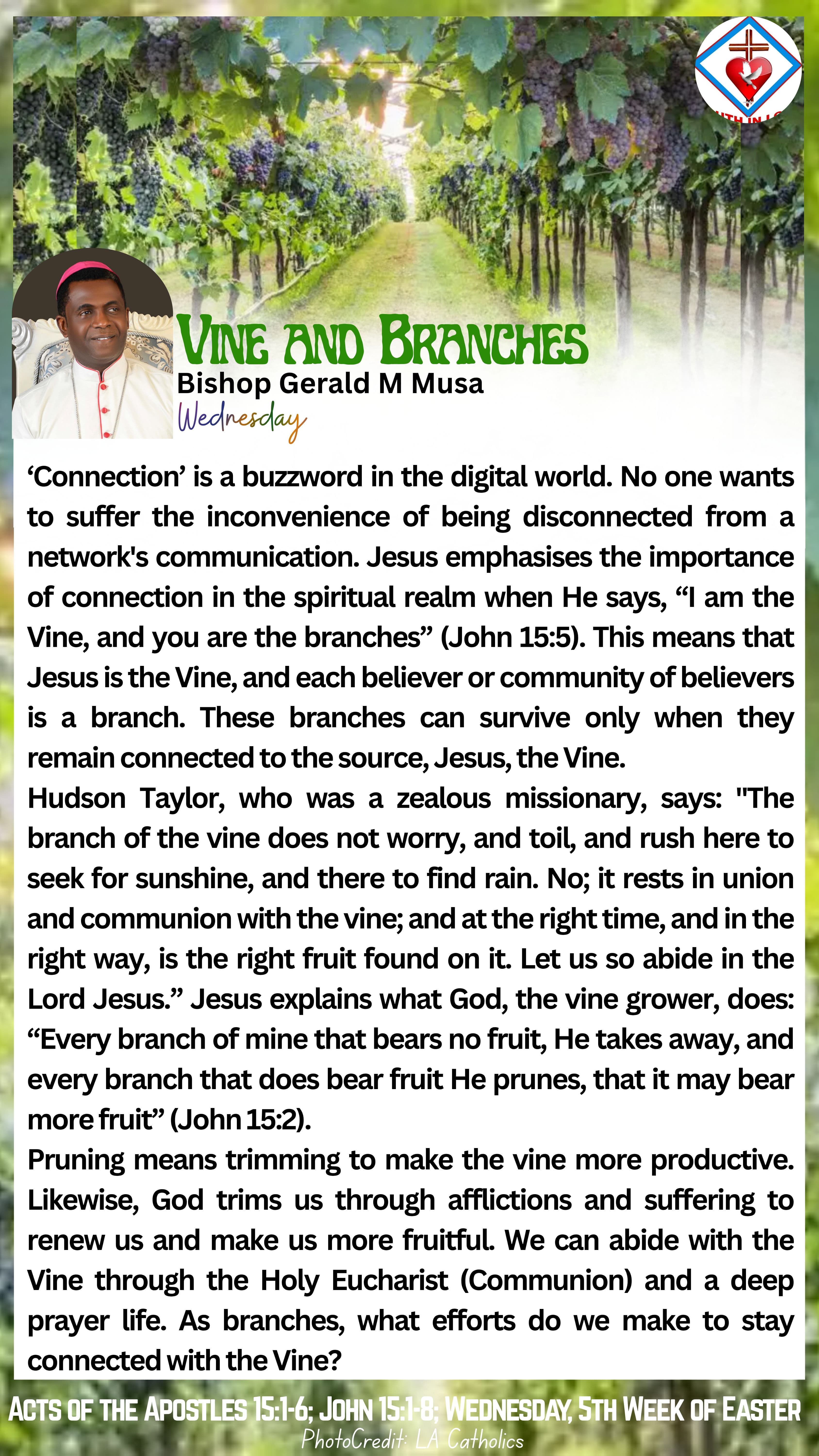 Vine and Branches